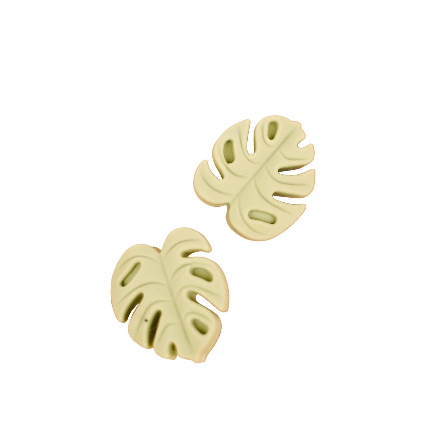 Monstera Leaf Focal