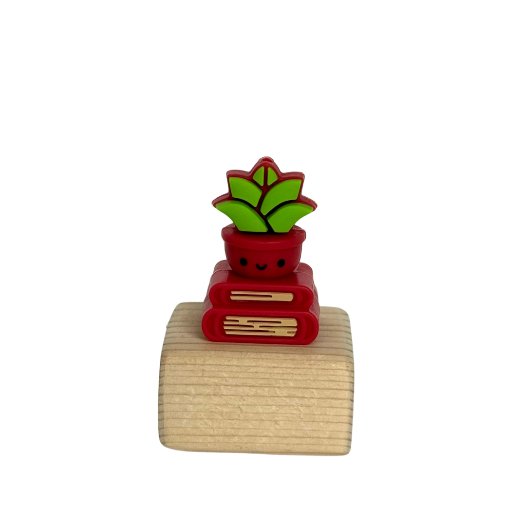 3D Books & Cactus Focal