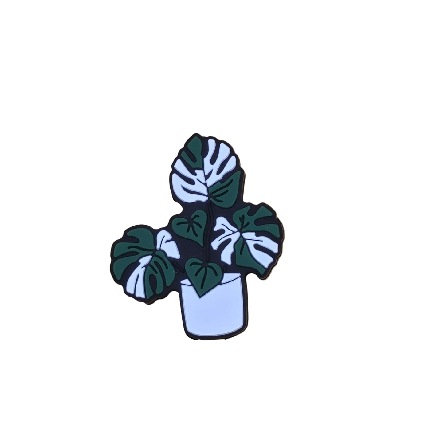 Monstera Plant Focal
