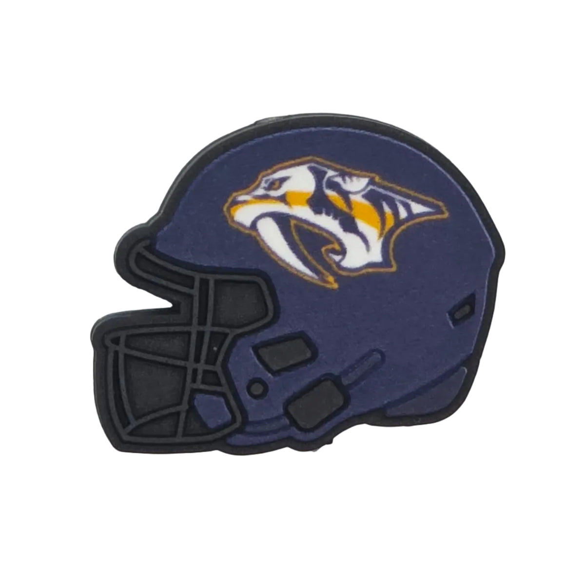 Hockey Team Helmets