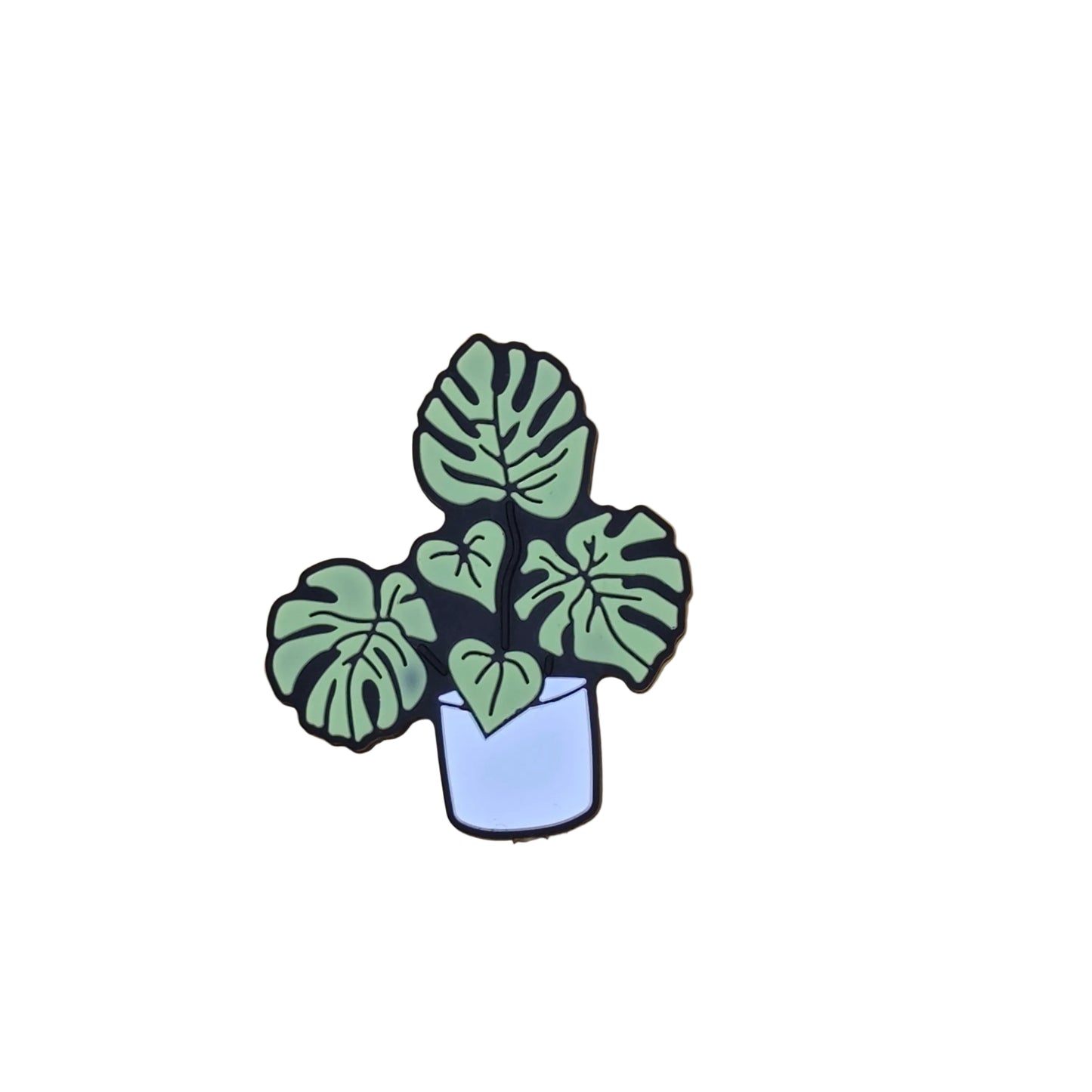 Monstera Plant Focal