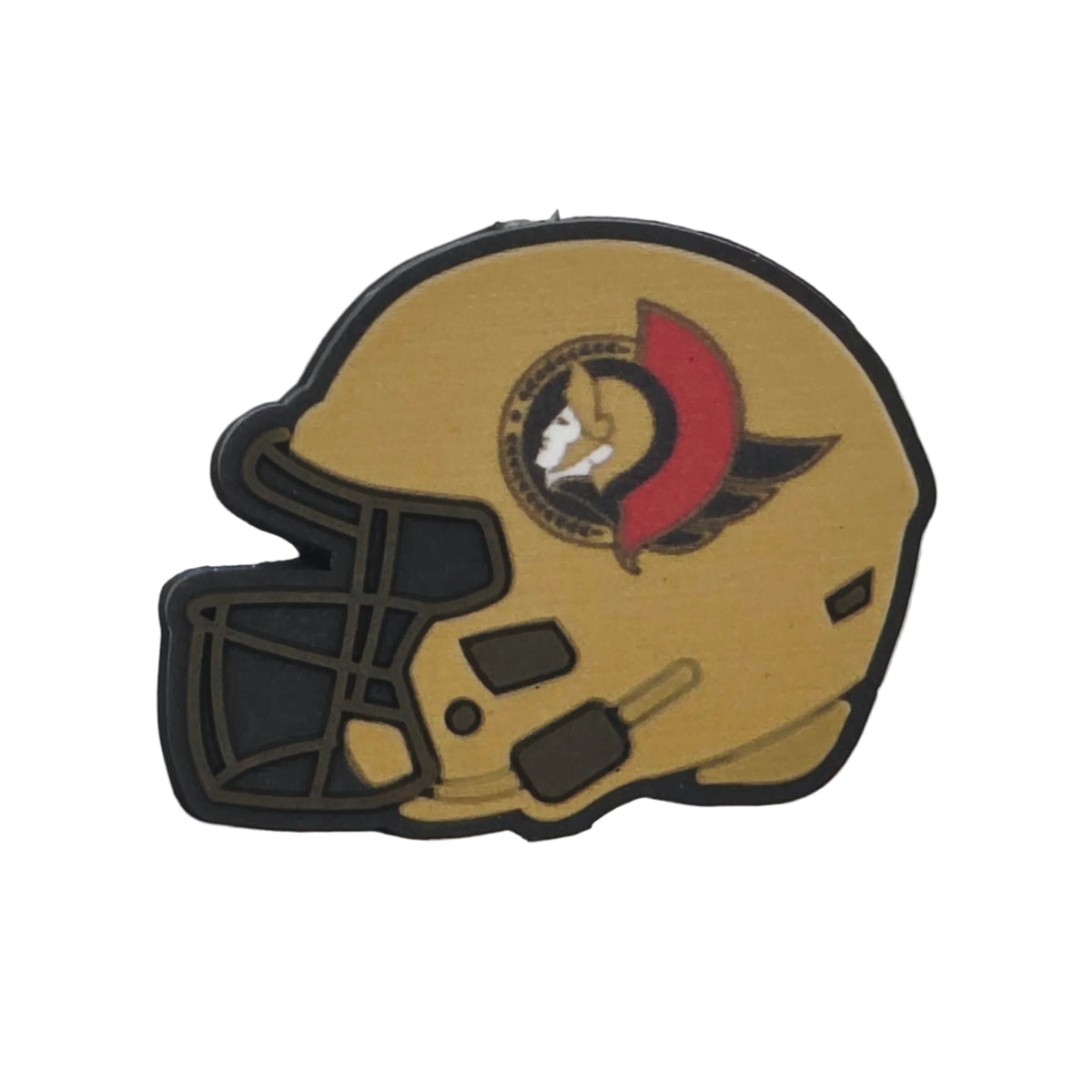 Hockey Team Helmets
