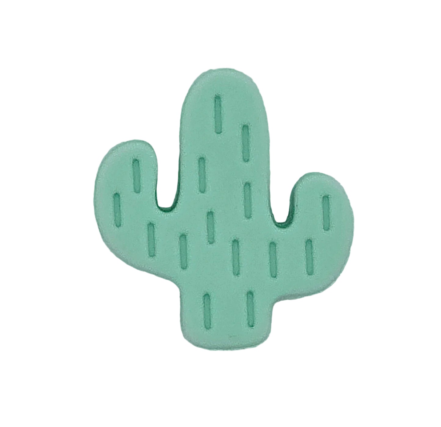 Cactus Focal
