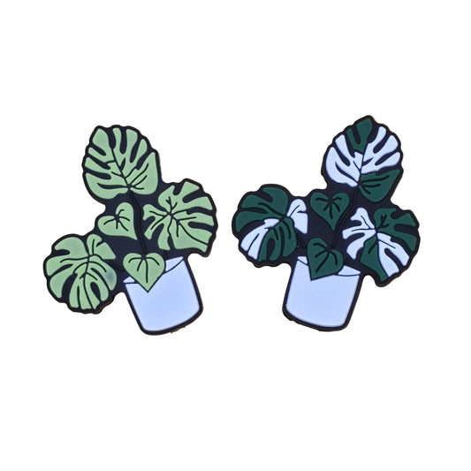 Monstera Plant Focal